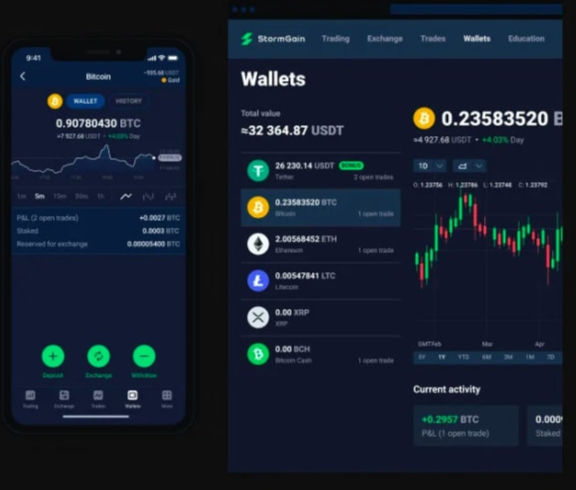 如何进行Trust Wallet交易风险